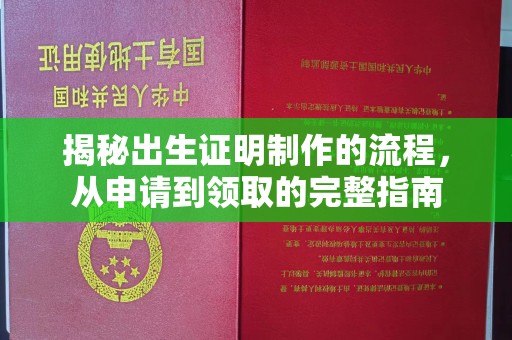 西陵揭秘出生证明制作的流程，从申请到领取的完整指南