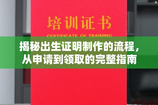 西陵揭秘出生证明制作的流程，从申请到领取的完整指南