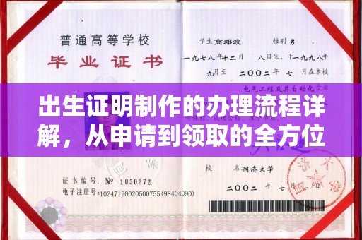 西陵出生证明制作的办理流程详解，从申请到领取的全方位指南