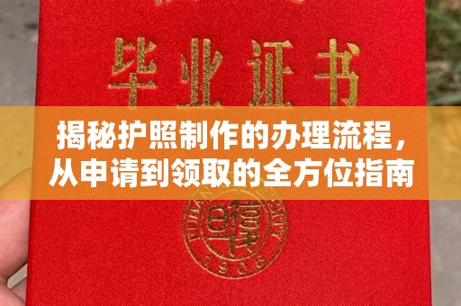 西陵揭秘护照制作的办理流程，从申请到领取的全方位指南