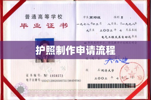 西陵护照制作申请流程