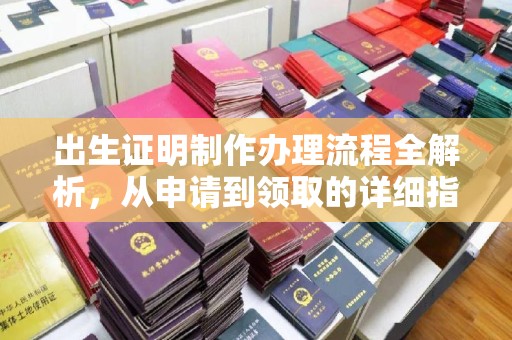西陵出生证明制作办理流程全解析，从申请到领取的详细指南