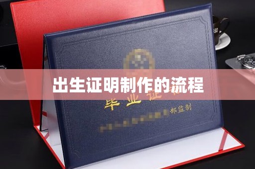 西陵出生证明制作的流程